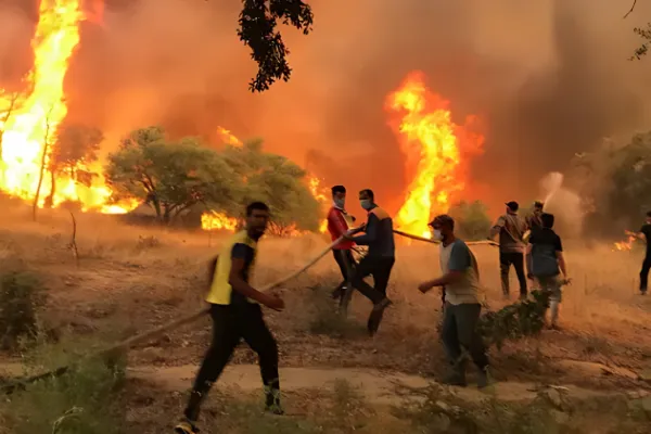 Algeria's Wildfire